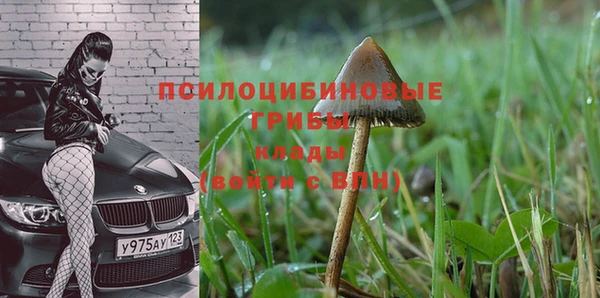 MDMA Алзамай