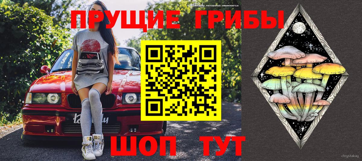 Псилоцибиновые грибы мицелий Сунжа