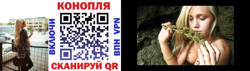 kraken ТОР  Сунжа  Марихуана индика 